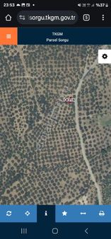 Havranda Hobi Bahçesine Uygun Yol Ve Su Sorunu Olmayan Satılık Zeytinlik