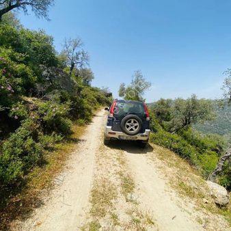 Söke Emlak Ofisisınden Guzeltepede Satılık Zeytinlik