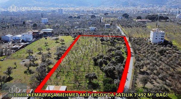İzmir Kemalpaşa Mehmet Akif Mahallesinde Satılık Tek Tapu Bağ!