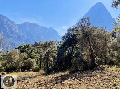 Hisarçandır Gedeller Bölgesi Doğa Manzaralı Arsa