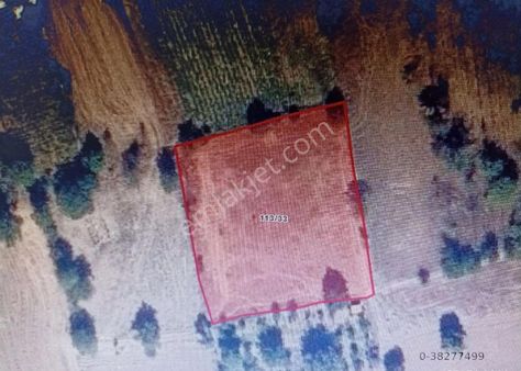 Merzifonda Klass Emlaktan Satılık Bağ