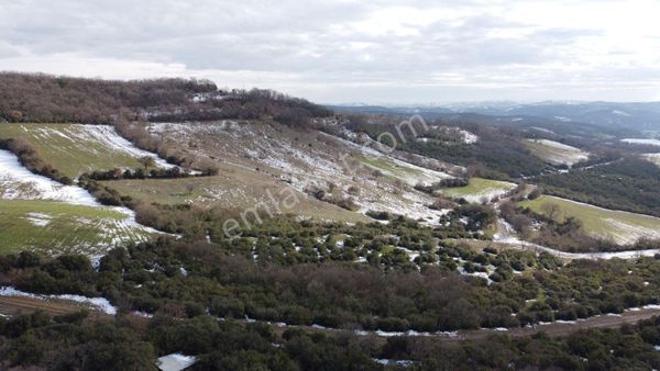Yetiş Emlak Tan Çamlıca Köyünde 9 Dönüm Tarla Mustafakemalpaşa Da