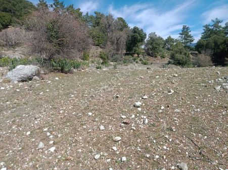 Satılık 2.525 M2 Tarla Antalya Kumluca Da