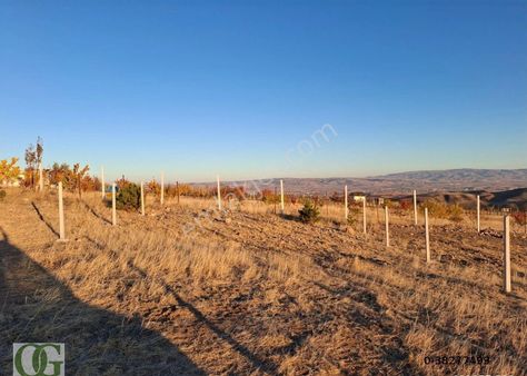Osman Gülcan'dan Çubuk Manzaralı Haftaya Özel 3 Bahçe Acill