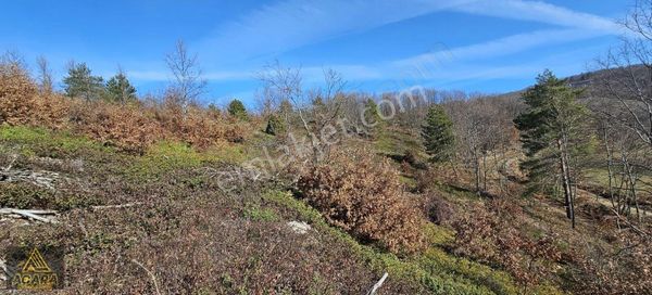 Acara'dan/iznik Hacıosman'da/ 4.973 M² Orman Cepheli Tarla