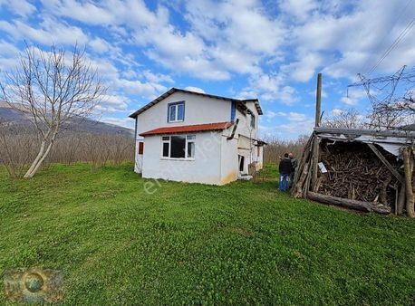 Global Emlak'tan Dokurcun'da Karşılıklı Beraber Satılık Arsa