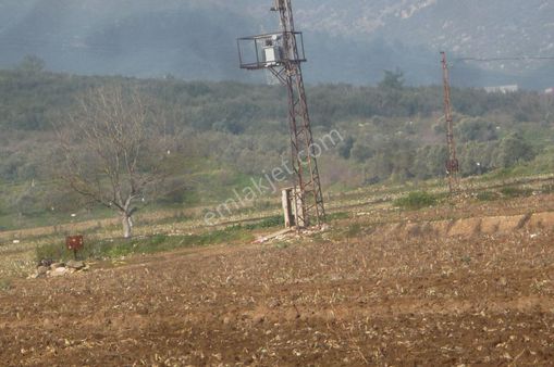 İzmir Torbalı Gold Emlaktan Satılık Tarla