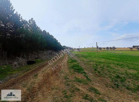 Uşak Afyon Asfalt Yolu Üzerinde Yola Sıfır Hobi Bahçesi-