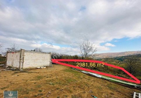 🌲doğayla İçiçe, Şehirle Komşu Gölcük Ayvazpınarı Köyünde %5 İmarlı 2982 M2 Satılık Tarla🌲