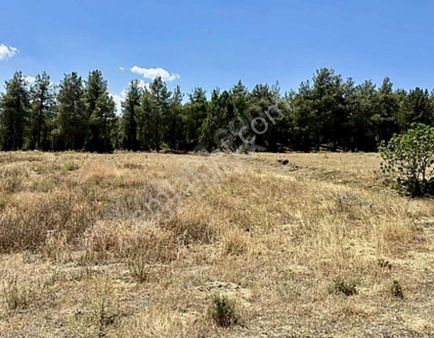 Bucak Seydiköyde Satılık 2750 M2 Manzaralı Havadar Yüksek Konumda Tarla