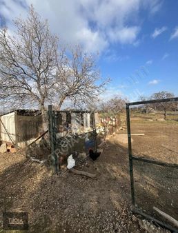 Tüm Altyapısıyla Hazır Çiftlik Tarım & Hayvancılık İçin Fırsat