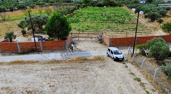 Kadastral Yola Cepheli 7300m2 Elektrik Suyu Olan Bahçe