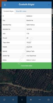 Bandırma Sahilyenicede Satılık Zeytinlik