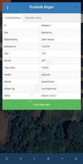 Bandırma Sahilyenicede Satılık Zeytinlik