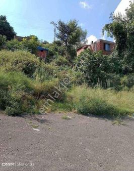 6 Kat İmarlı Akçaabat Kavaklıda Satılık 187 M2 Arsa