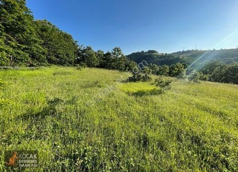 Sarıağıl Mahallesinde Etrafı Erik Bahçesi 7321 M2 Satılık Tarla