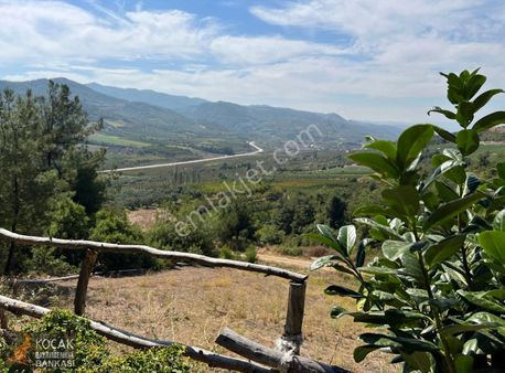 Kaynarca Alakayada İçinde Bağevi Olan 3000m2 Ceviz Hurma Bahçesi