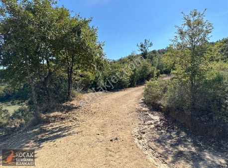 Derbent Mahallesinde 2.350m2 Satılık Göl Manzaralı Arazi