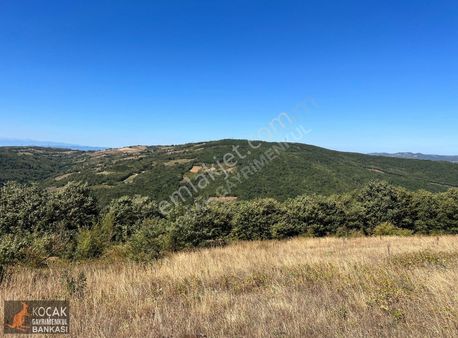 Hacıosmanda Yatırımlık Projeye Uygun 26495 M2 Satılık Arazi