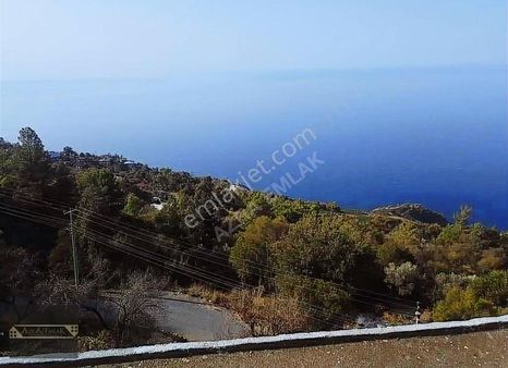 Zeytinada Köyünde 1 Dönüm Tarla Ve Ev