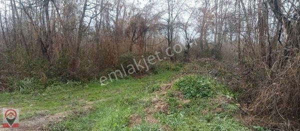 Kocaeli Kartepe Suadiye De Kuloğlu Emlak Inş Dan Satılık Arsa