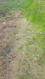 Kaşıkçıoğlu Gayrimenkul 'den Satılık Bahçe