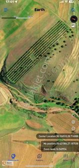 Sun Gayrimenkul'den 13,316m2 İçerisinde 600 Adet Zeytin Ağaçlı !