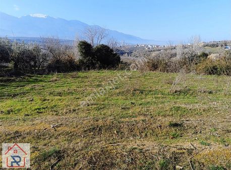 Relax Tr Gayrimenkul Bursa Kestel Çataltepe Satılık Hobi Bahçesi