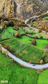 Yatırım Plus'tan Alaçam'da Yerleşik Alan Ev Yapılabilir Tarla
