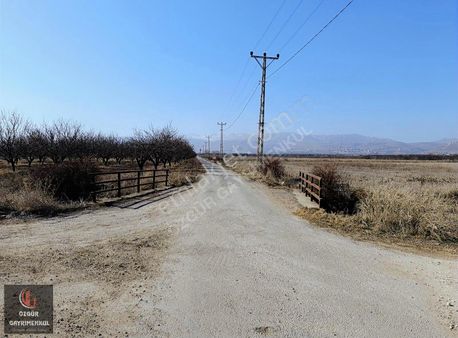 Özgürden, Akçadağ Da Fırsat Harika Konumda Sulu Tarla