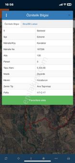 Kavlaklarda Satılık Zeytinlik