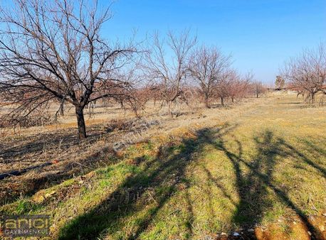 Dilek Te Satılık 7800m² Bahçe (elkt+su+yol Kenarı)