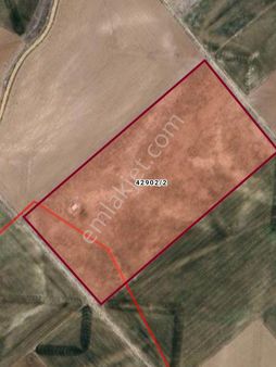 Sezenler Emlaktan Selçuklu Çaltı Mahallesi'nde Satılık Tarla