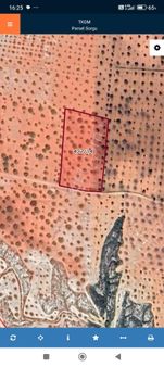 Nizip Uluyatır Da Acil Satılık Tek Tapu Uygun Fıstıklık