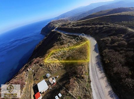 Sahil Yenice`de Denize Sıfır 1340 M2 Satılık Fırsat Arazi