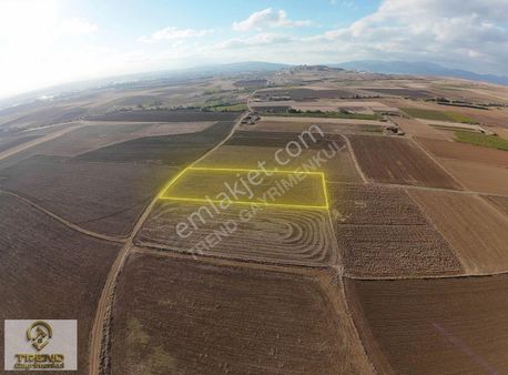 Trend'den Kayacık Da İmara Yakın 9000m2 Satılık Arazi!!!!