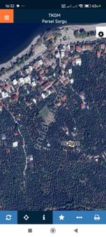 İznik Göllüce De Satılık İmarlı Zetinlik