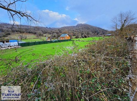 Şile İmrendere Mahallesinde Yatırımlık Tarla Turyap'tan