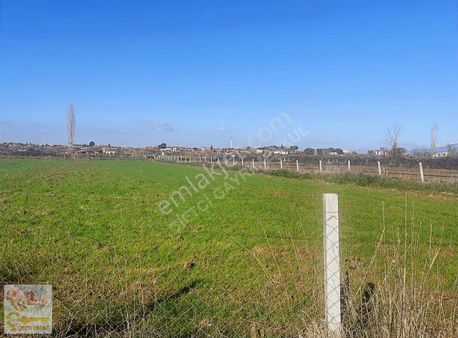 Çiftçi Emlaktan Oğlananası Satılık Tarla Ana Yola Yakın