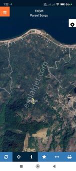 İznik Göllüce Mah Satlıklık Zeytinlik 2554