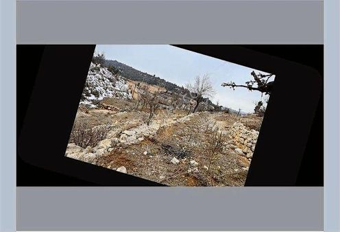 748 M2 Arsa Köy İçi Ev Yapımına Uygun Çaltıbozkır