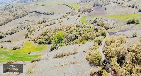 Bursa Yenişehir Kızılhisar Mahallesı'nde Satılık Tarla