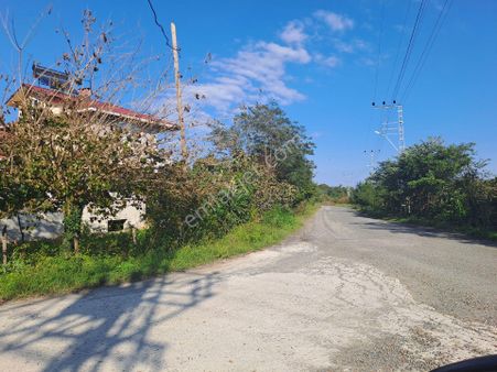 Alibey'den Terme H.mescit Mah.de Satılık Fındıklık