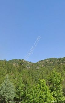 Isparta Merkez Antalya Yoluna 700 Metre Mesafede 4 Dönüm Tarla