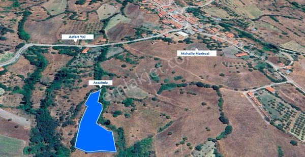 Balıkesir Sındırgı'da 4.266 M2 Köy İçi Asfalta Yakın Düz Arazi !