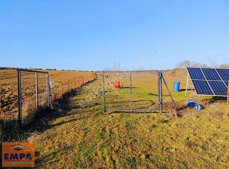 Şok Fiyat Satılık Ceviz Bahçesi