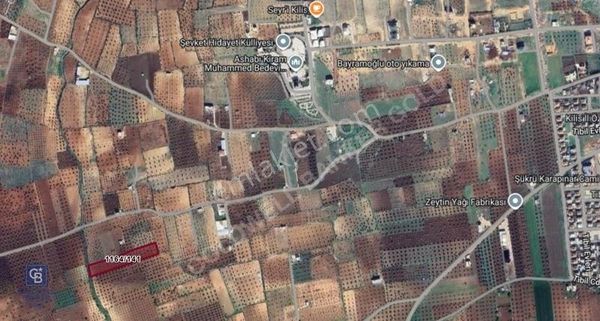 Cb Gold'dan Harika Lokasyonda Satılık Zeytinlik