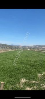 Didim Akköyde Satılık Tarla