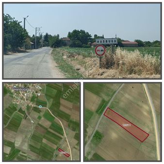 Hasbuğa Müsellim Asfalt Üzeri Satılık 418 M2 Tarla