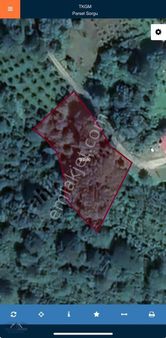 Maçka Şimşirlide Satılık Fırsat Arazi 3.493 M2